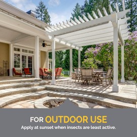 Hot Shot Wasp & Hornet Killer Spray, For Insects Eliminates the Nest, Sprays Up To 27 Feet, 14 fl Ounce, 2 Pack