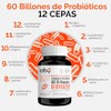 Probioticos 60 Billones de 12 Cepas + Prebioticos con Inulina