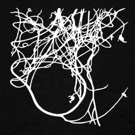 6"x6" Wisteria Vine Small Mask by Trish McKinney