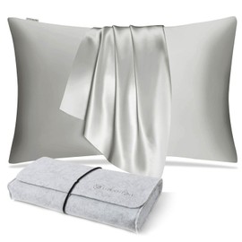 DISANGNI 100% Natural Mulberry Silk Pillow case for Hair and Skin with Hidden Zipper 22 Momme Both Sides Real Silk Pillow Case (1pc Queen Size 20" x30", Light Grey)