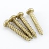 CONPHERON Brass Self-Tapping Screws Round Head Tapping Screws Round Head