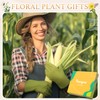 HAPPYPOP Corn Gifts for Men - Corn Gifts for Adult,