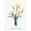 Pixiluv HAPPY BIRTHDAY Greeting card ~ Pretty Springtime White Daffodils