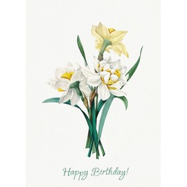 Pixiluv HAPPY BIRTHDAY Greeting card ~ Pretty Springtime White Daffodils ~ Birthday Wishes Vintage Large Greeting Card