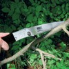 Niigata Seiki Kensho Folding Branch Cutting Saw, Made in Japan,