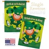 Irish For A Day Garden House Flags Kit Springtime St