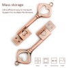 BORLTER CLAMP BorlterClamp 32GB USB 2.0 Flash Drive Retro Metal