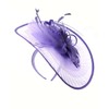C.C Cocktail Sinamay Fascinator Headband Feather & Flower Design, A