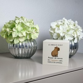 Sei Immer du selbst - ausser du Kannst EIN Capybara Sein Money Box Made of Wood, A Funny Piggy Bank for Capy Fans Money Box Made of Wood with Saying Funny Capybara Money Box for