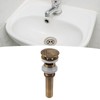 Pop Up Sink Drain Vintage Sink Vessel Drain Stopper Plant