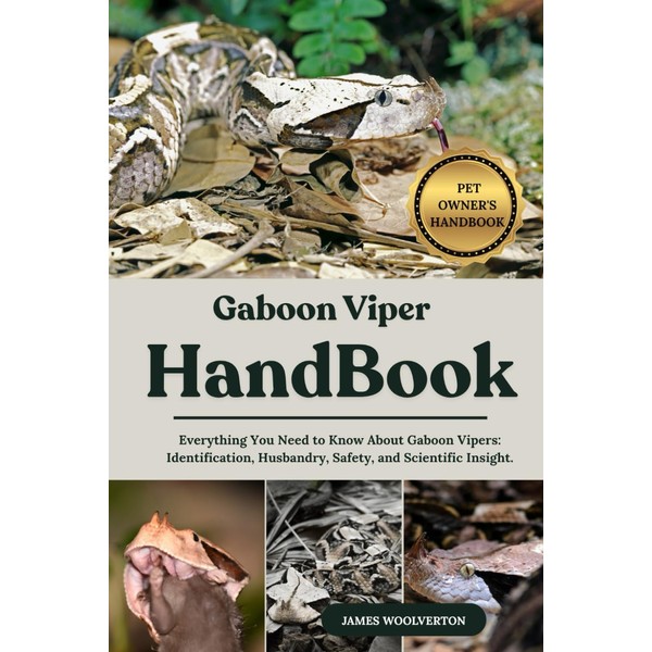 GABOON VIPER HANDBOOK: Everything You Need to Know About Gaboon