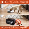 Pexter Cat Litter Box Enclosure, Dog Proof, Discreet and Hidden
