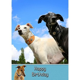 Greyhound Birthday Card