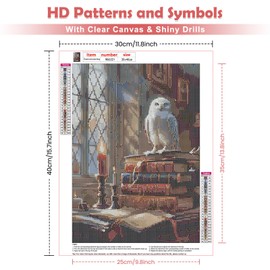 QENSPE Owl Diamond Painting Kits for Adults, Library Diamond Art Kits Adults,5D Crystal Art Kits,Full Drill Gem Art Craft Kit, Diamond Dot Kits for Home Decor (30x40cm) 12x16in