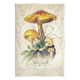 Stupell Industries German Scientific Mushroom Study Wall Plaque Art, Design by Steve Hunziker