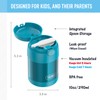 THERMOS FUNTAINER 10 Ounce Stainless Steel Vacuum Insulated Kids Food
