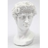 Vittoria Collection Classic Head Bust of David by Michelangelo Statue
