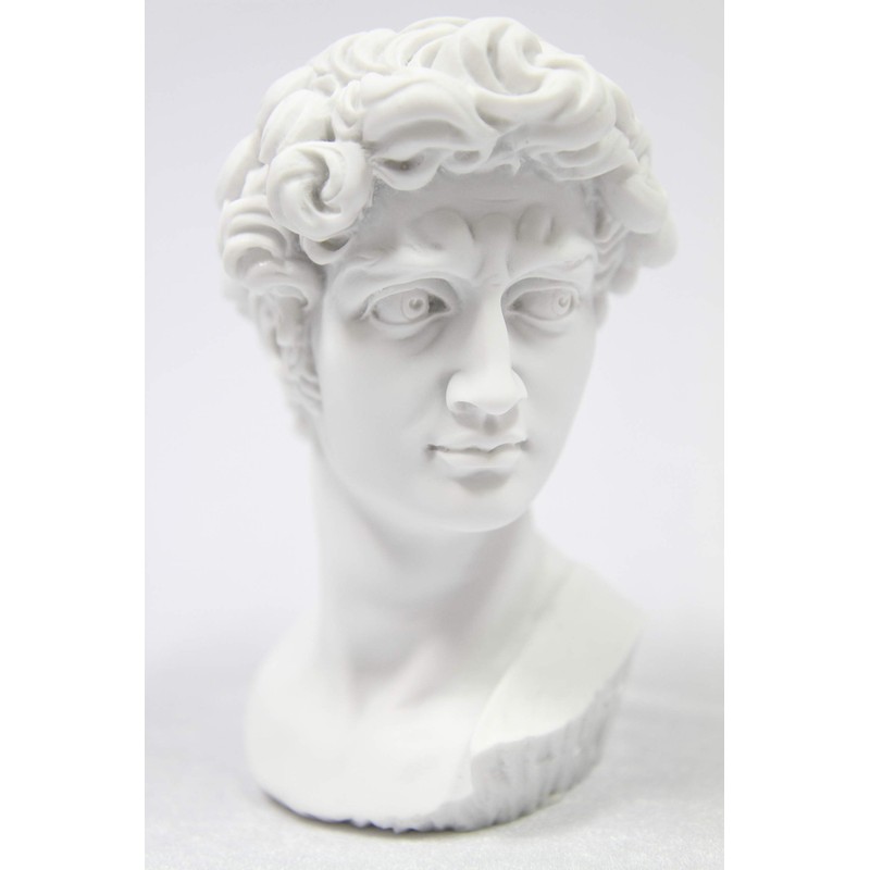 Vittoria Collection Classic Head Bust of David by Michelangelo Statue
