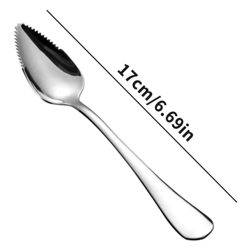 2 Pcs Silver Spoon Grapefruit Spoon Stainless Steel Grapefruit Spoon,