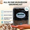 MycoHaus Mushroom All in One Growing Kit with Injection Ports