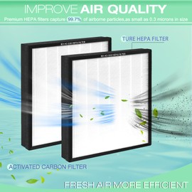 BD-AS-550 True HEPA H13 Filter Air Scrubber Stage 2 Replacement Filter Compatible with BlueDri, VEVOR and Dri-Eaz Scrubber Air Purifier, for F301H, 16 x 19 x 2 inches (2)