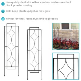 Sunnydaze 2-Piece Chic Diamonds Design Garden Trellis for Climbing Plants Set - Metal Decorative Outdoor Plant and Flower Trellis - 60-Inch Tall Each - Black