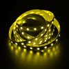 RGBW RGB+W 6000K LED Strip 4in1 Chip 500cm 5m ;