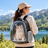 Transparent Pet Backpack Carrier for Cats & Small Dogs, Ventilated