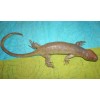 Tree Skink Lizard Replica - Solomon Islands Skink - AAA
