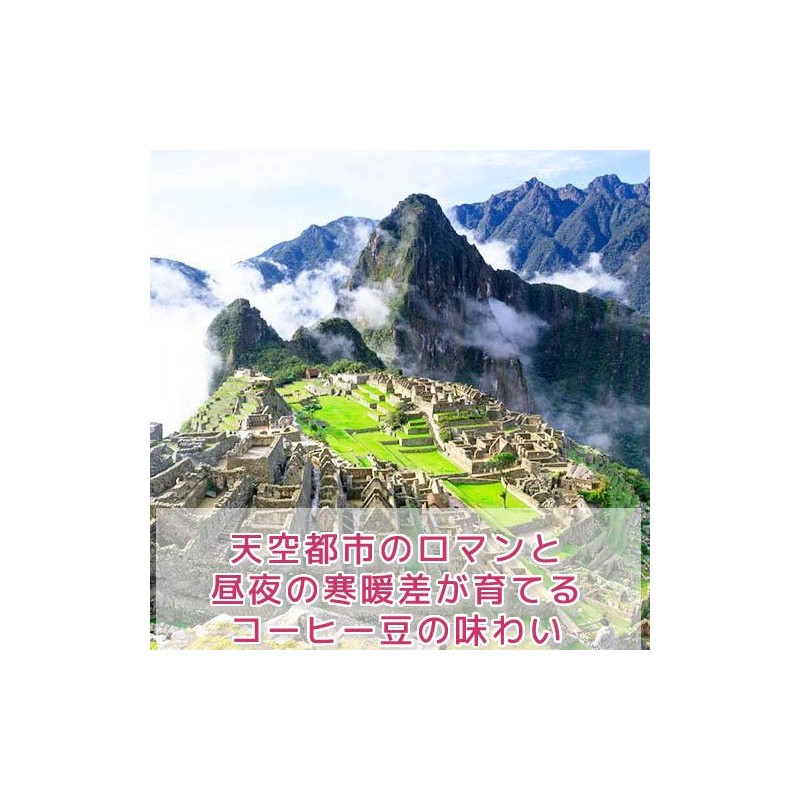 Coffee Beans, Freshly Roasted Machu Picchu Sky (Peru), No Pesticides,