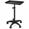 Adjustable Rolling Salon Tray for Professional Work – Large Aluminum