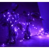 Volunx USB Purple Fairy Lights 2/5/10m Copper USB Plug in,