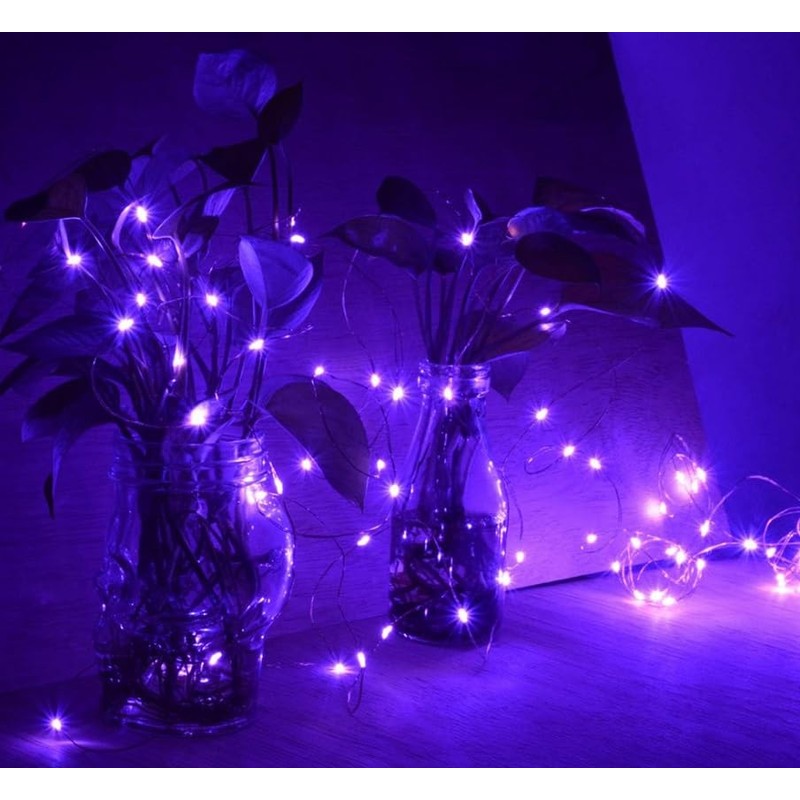 Volunx USB Purple Fairy Lights 2/5/10m Copper USB Plug in,