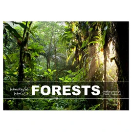 Wonderful World - Forests (Monthly Wall Calendar 2026 16.5" x 23.4" (open)), CALVENDO 14 Month Calendar