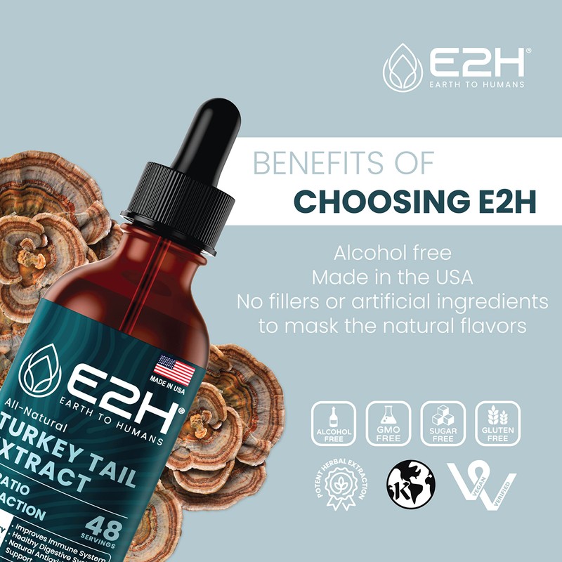 Turkey Tail Mushroom Extract - Faster Absorption Than Turkey Tail