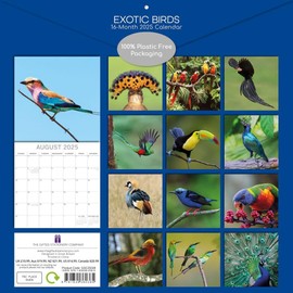 Exotic Birds - Exotic Birds 2025 - 16 Month Calendar: Original Gifted Stationery Calendar [Multilingual] [Calendar] (Wall Calendar)