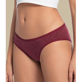 FORVEVO Merino Wool Underwear Women 3 Pack, Breathable Wooly Briefs, Hipster Ladies Panties Underwear, Moisture Wicking Soft Comfortable for Office, Hiking, Camping（Multicolor01，M）