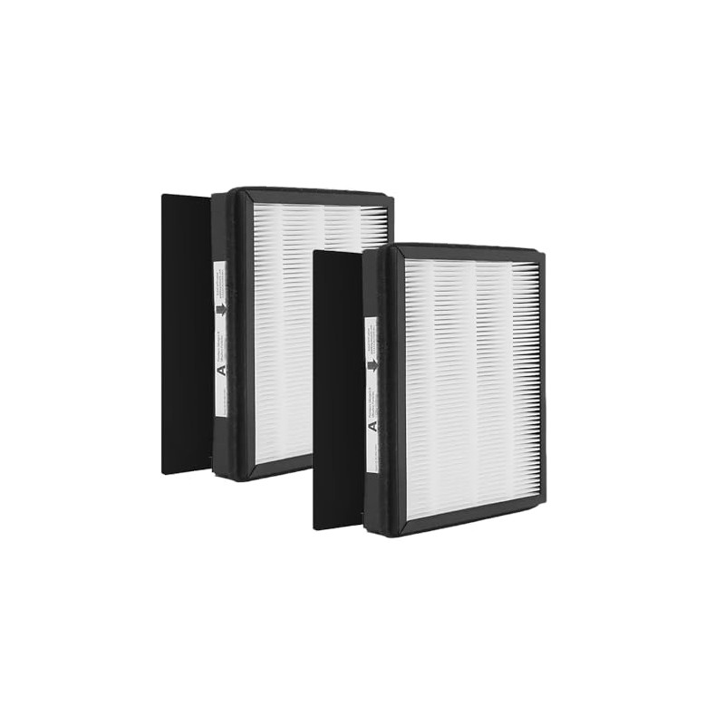 Goodsby 2 Pack Replacement IAF-H-100A True HEPA Filter A Set