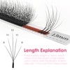 SEEDEW Wispy 5D Lash Extensions, 0.07mm D Curl MIX8-15mm 12