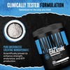 Animal Creatine Monohydrate Powder – Micronized Creatine for Women and