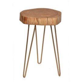 Carolina Classic SETI Live Edge Accent Table Top in Gold