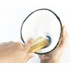 Small Size Wooden Handle Coconut Grater - Durable Sharp Stainless