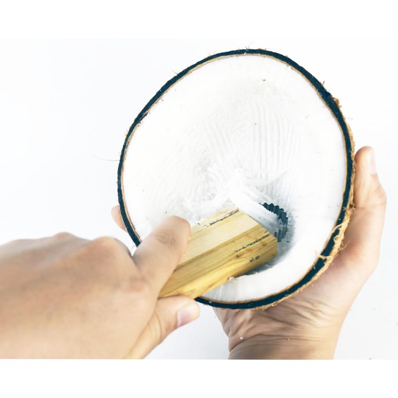 Small Size Wooden Handle Coconut Grater - Durable Sharp Stainless