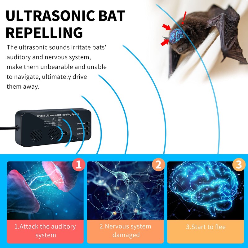 Ultrasonic Bat Removal, Briidea Bat Away System, Demands Bats to