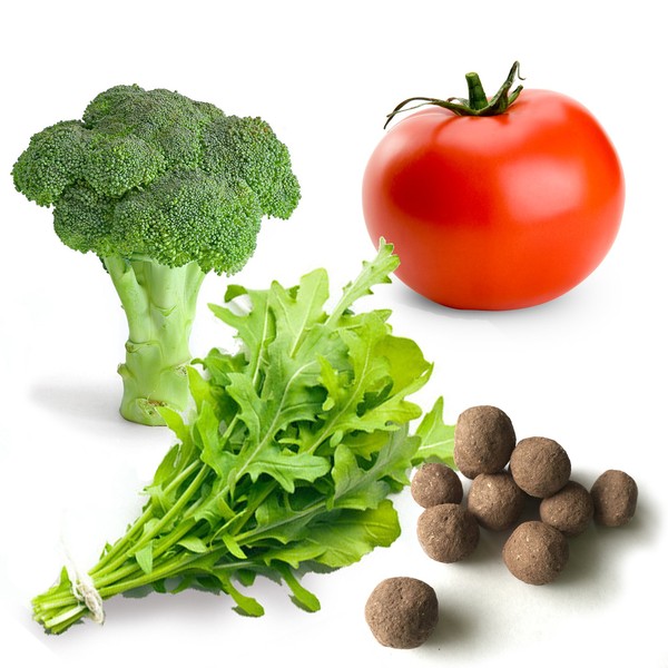 30 Italian Vegetable Seed Balls (Tomato, Broccoli, Arugula)- Herb & Vegetable Seed Bombs to Make Gardening Fun and Simple!