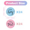 96 PCS Gender Reveal Stickers - Team Boy & Team