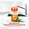 CLOROX Scentiva Liquid Hand Soap, Hawaiian Sunshine Scent - Bleach-Free
