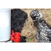 RentACoop Automatic Chicken Water Cup Waterer Kit for Poultry -