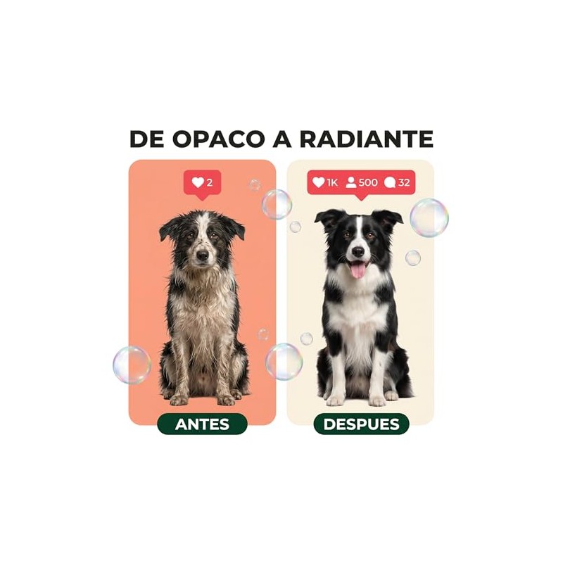 Shampoo para Perros y Cachorros - Sin Sulfatos ni Parabenos