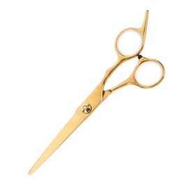 Baluue 1pc Golden Stainless Steel Hairdressing Scissors for Barbers and Home Stylists Ergonomic Grip Hair Cutting Tools for Professional and Junior Hairdressers